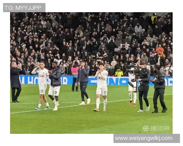 寒冬笼罩白鹿巷？热刺1-2富勒姆，主场三连败阴云下的沉思